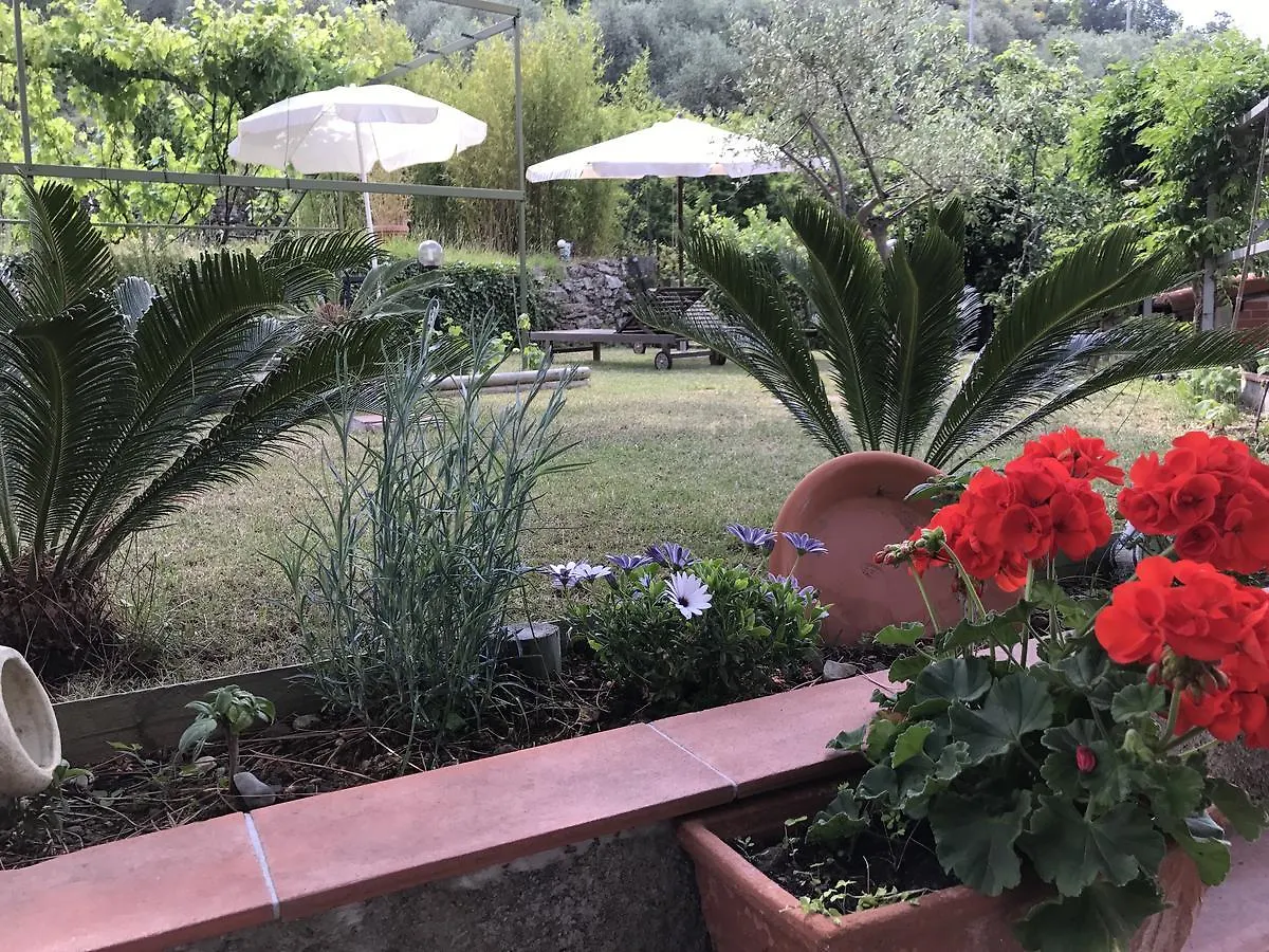 Moonlight- Bedbluesky Villa Perinaldo Italy