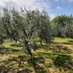 La Casetta Di Bianca Hébergement de vacances