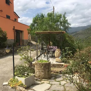 Olivo Al Mare - By Host4u Appartement
